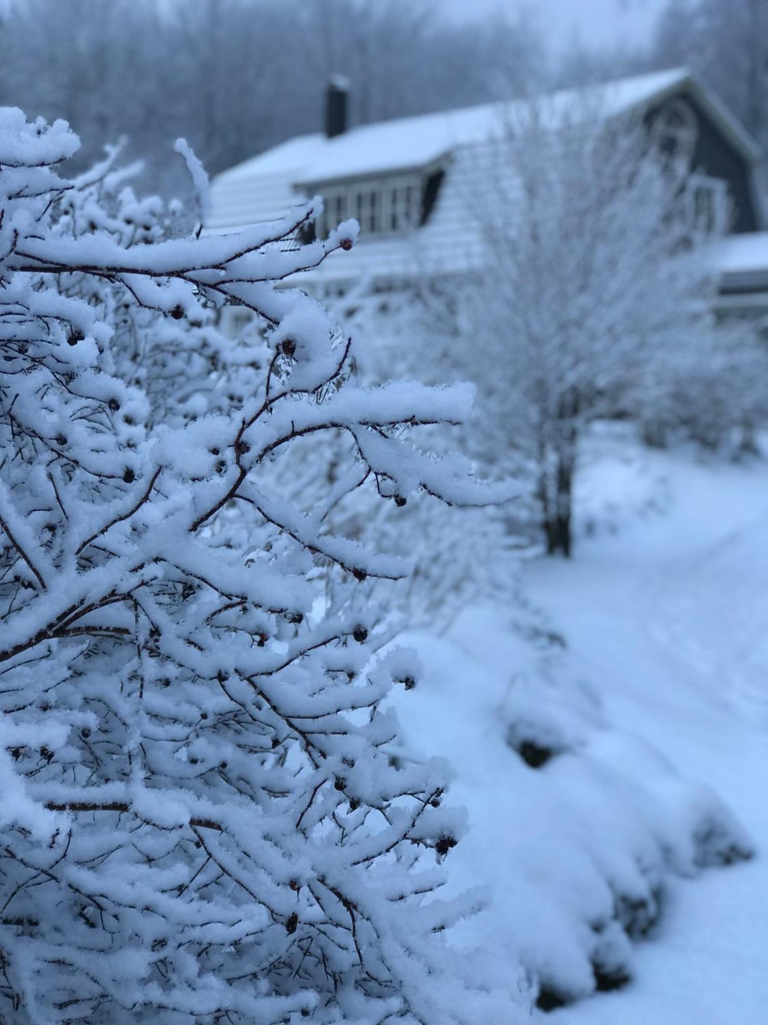 Oesterlen - Baestekille Backar Sankt Olof Luaran gambar